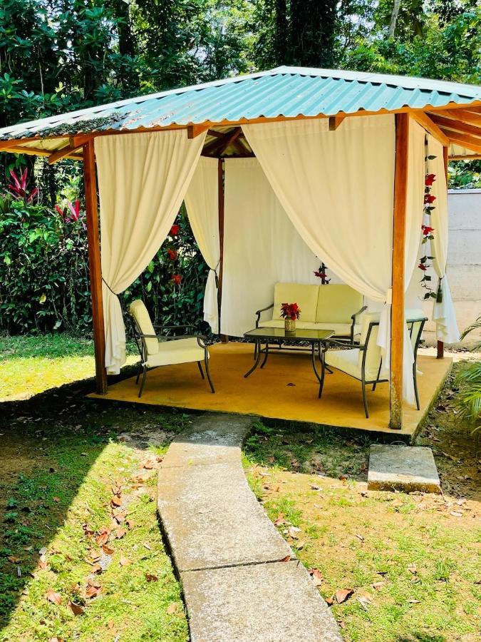 La Magia Bungalows Puerto Viejo de Talamanca Exteriör bild